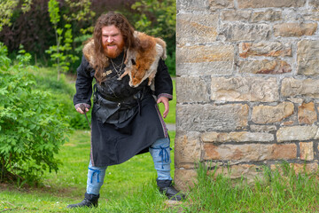 Der Wikinger