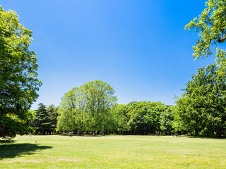 青空と緑の公園