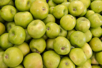 Green organic fresh apple.