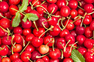 Fresh, delicious and nutritious cherries
