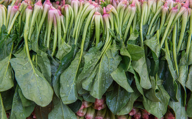 Fresh green spinach.