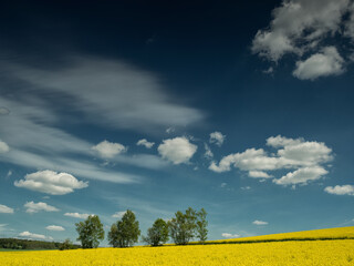 Wolken &uuml;ber Raps