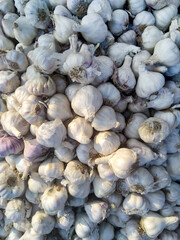 garlic for sale in market