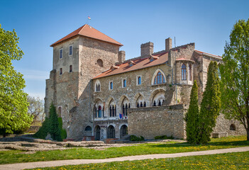 Fototapeta na wymiar Medieval castle in Tata,Hungary