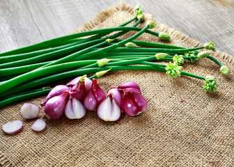 red onions and onion flowers on burlap  background