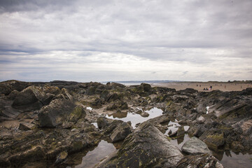 Fototapeta na wymiar landscape with rocks