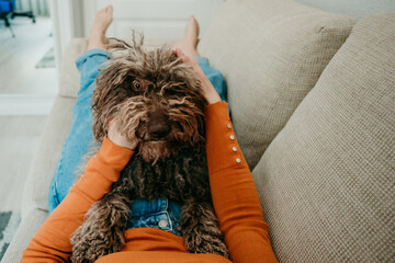 .Young curly short hair woman playing with her faithful spanish dog lying on the sofa at home....