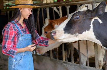 Veterinarian or Farmer have recording details on the tablet of each cow on the farm.