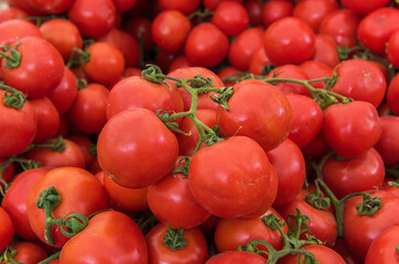 fresh red tomato.