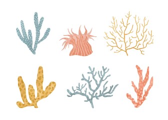 set of multi-colored sea corals and sea anemones isolated on a white background. illustration of oceanic underwater organisms. High quality photo