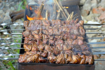 Rest in nature. Barbecue with family in the garden. Cooking barbecue on wood on the grill. Delicious pork meat on a skewers bonfire