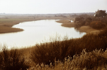 Norfolk Thornham tidal estuary. Marsh grass and reeds growing on river banks and headlands. 