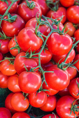 fresh red tomato.
