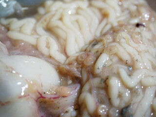 タラの内臓に寄生した大量のアニサキス