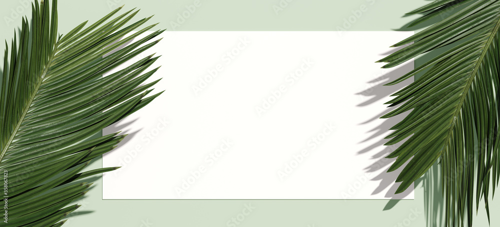 Poster minimal nature background for summer concept. white paper and green palm leaf on green background. 3