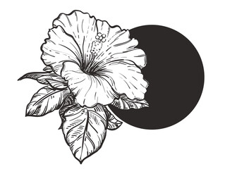 Hand drawn sketch black and white hibiscus flowers. Vector illustration. Elements in graphic style label, card, sticker, menu, package.