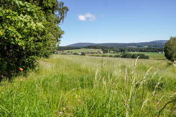 Obraz premium Mehlmeisel im Fichtelgebirge im Sommer
