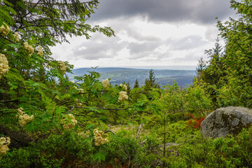 Der Ochsenkopf im Fichtelgebirge im Sommer