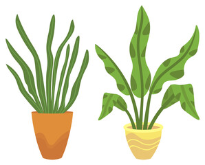 Flowers in vases, floral decor for home flat style flourishing on branches, plant with frondage, tender and elegant design, container interior. Isolated flowerpot with blooming plant . Vector in flat