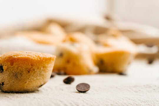 Little Chocolate chip muffinwith some chocolate chips and muffins on the background with natural colors. Tasty and sweet concept. Selective focus.