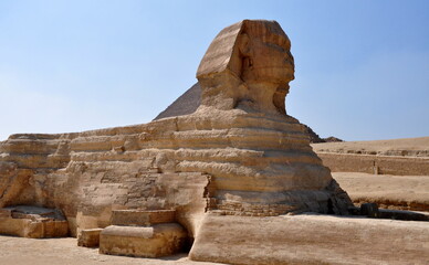 Sphinx in giza egypt