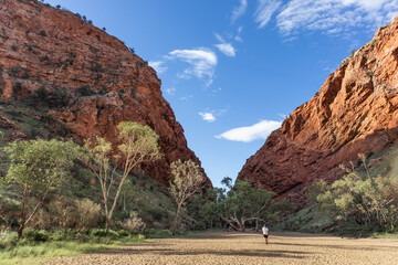Man walking at a gorge. Rocky walls on the sides. Green vegetation during the dry season. Picture...