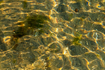 Blurred background of the sea coastal bottom.