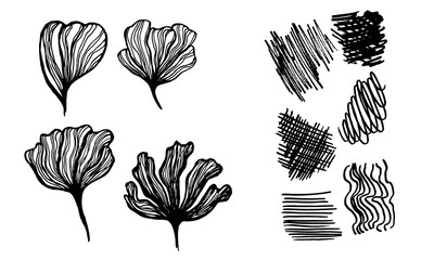 Silhouette of hand drawn flower petals. Line art vector illustration. Botanical sketch isolated on white background. Collection of elements for greeting card, poster or wedding invitation design