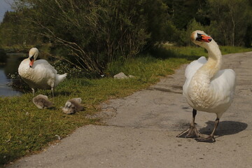 Neben der Kinderpflege auch mal bisschen an sich selbst denken