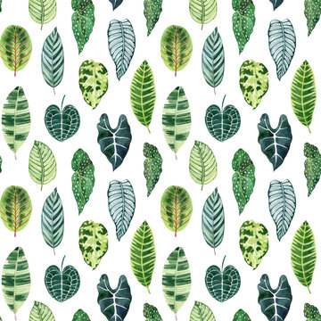 Tropical leaves watercolor seamless pattern with begonia, alocasia, calathea, anthurium. Exotic foliage texture for fabrics, wrapping paper, wallpapers, digital paper. Hand drawn illustration.