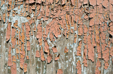 Old Wooden Shabby Colored Texture. Abstract Textured Background