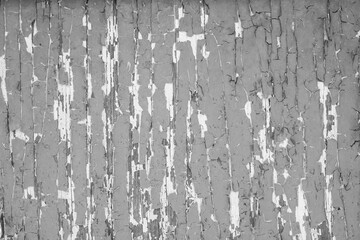 Old Wooden Shabby Colored Texture. Abstract Textured Background