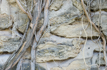 Background texture of modern gray concrete wall made of blocks
