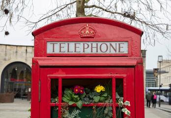 Bath, Somerset, UK, 22nd February 2019, Old repurposed red telephone box  turned into a space for flowers