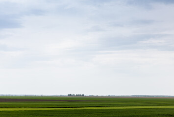 Fototapeta premium cloudy sky near green grass on field