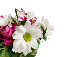 Bouquet of lushly colourful flowers on a white background. Blooming white flower