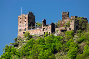 view of the old german castle