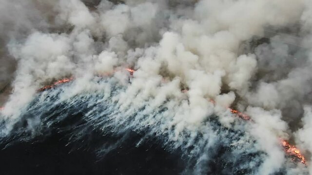 Aerial view of wild fire, burning field. Arson grass in spring, wildfire reason. Deforestation, environmental damage, climate change, global warming. Thick plumes of dark smoke, air pollution, ecology