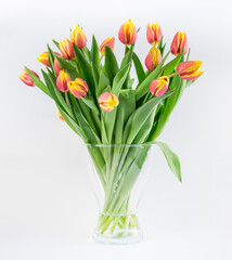 bouquet of tulips in a vase