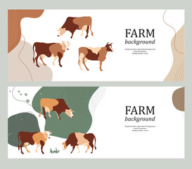 Horizontal banners. Cows in the pasture. Silhouettes of cows