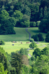 Odenwald nature view