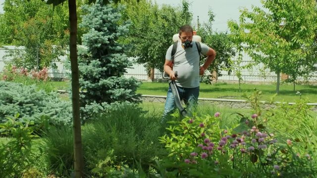 Spray ecological pesticide. Farmer fumigate in protective mask and glasses trees and bushes. Man spraying toxic pesticides, pesticide, insecticides. Gardener maintains a garden