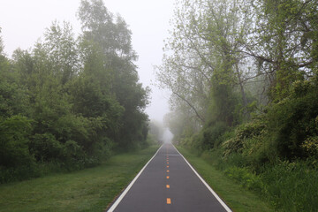 Straight bike/walking path lined with brush on either side and disappearing into fog up ahead