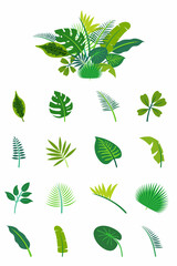Tropical leaves trendy set. Exotic botanical collection. Isolated. Vector.