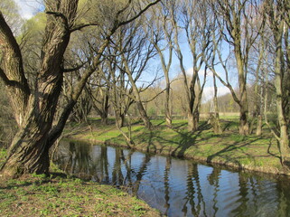 river in the forest
