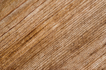 Texture of wood- nature background