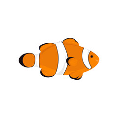 Anemone fish isolated on white background. Cartoon clown fish in flat style. Vector hand drawn illustration of a tropical exotic fish.