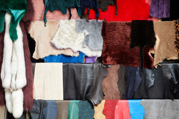 different types of multicolored fur skins. Warehouse of fur.