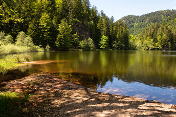 Retournemer lake in beautiful forest near Xonrupt in Vosges, Grand Est in northeastern France. Tranquil peaceful serene summer nature background. Alsace countryside tourism concept. Water reflection.
