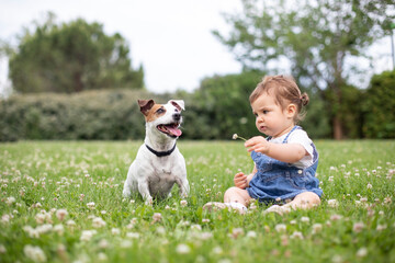 Niña y un Jack Russell sentados en una pradera de césped mientras la niña le ofrece una flor al perro	